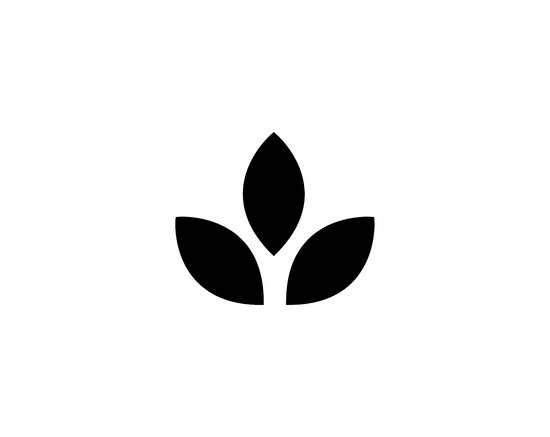 Energieriegel Brainfood Superfood Snack Produktivität Effektivität Leistung Energie Vegan Gesund Ballaststoffreich Natürliche Inhaltsstoffe Ohne Zuckerzusatz Süßware Schokolade Schokoriegel Regional hergestellt Fruchtriegel Für zwischendurch Datteln
